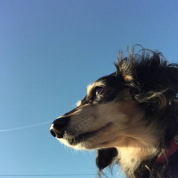 0e92c621 5b18 4125 b957 606433e802c5 1578621052867