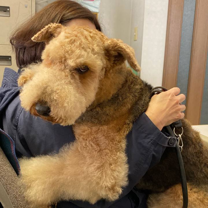 0e92eed6 0538 4a56 a1be b555f0e1b50b 1587126494869