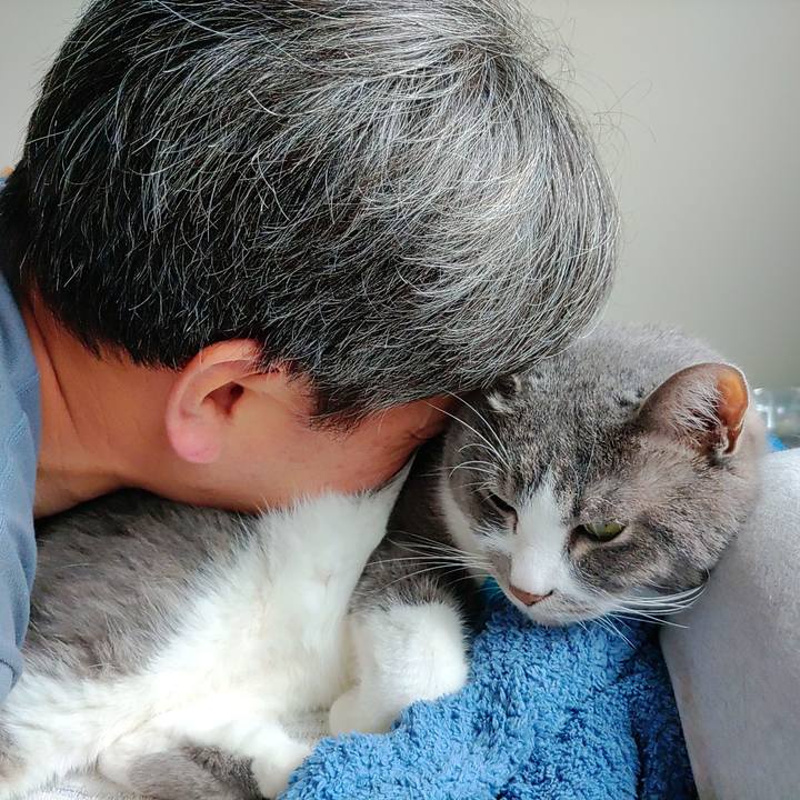 0e932ae9 46e7 41ff 91fa e29e85b784c0 1715576798789