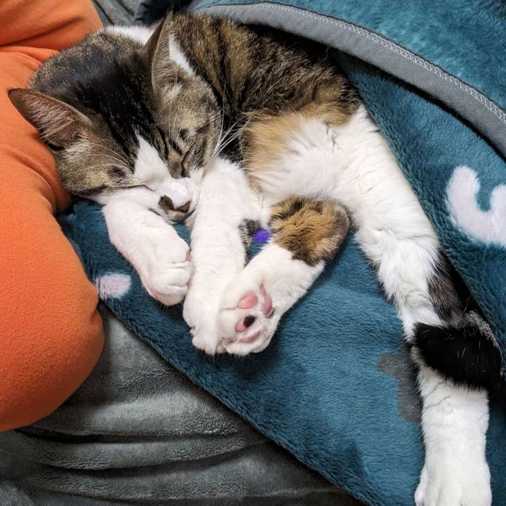 0e9381fd 265e 4973 b8cc 1864d57df451 1705903911881