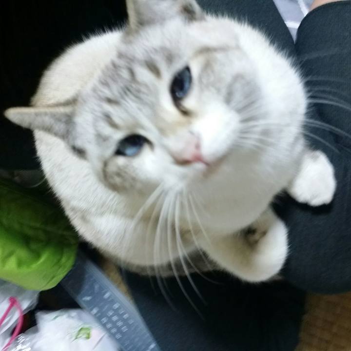 0e9384fa 3f03 40d6 b569 2a73551a7a18 1516285579090