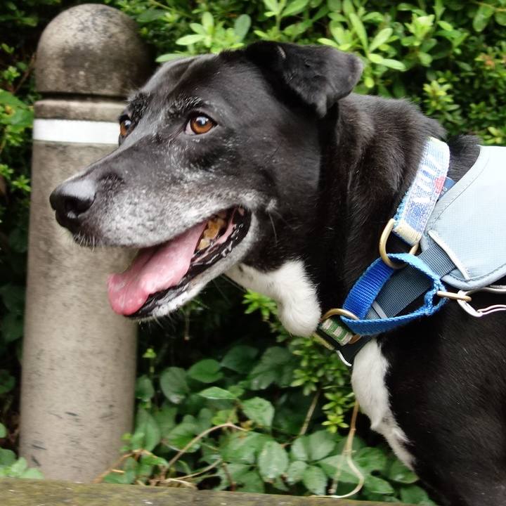 0e941bbf fe2d 4039 8bd2 a3da0e7580a4 1727916717528