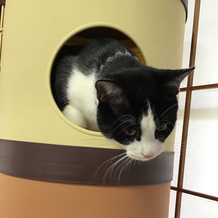 0e942983 c5db 4847 a0b8 dbb1937dc3e8 1642654078686