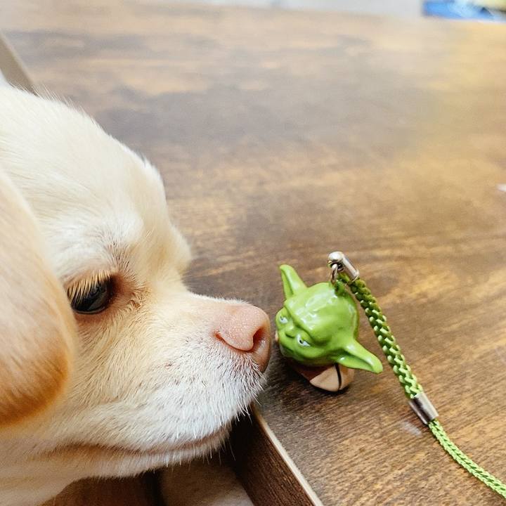 0e945352 6f77 413e 8a97 6592ae489060 1618107848867