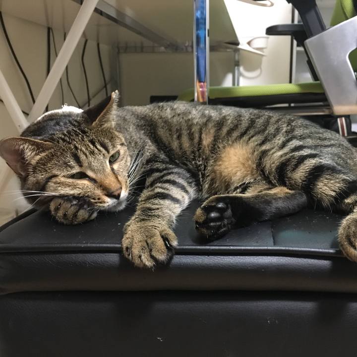 0e945b9e 6ed0 44c0 ab1b 0b1557abbf06 1534043679909