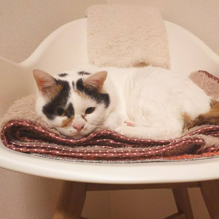 0e9489b2 d5ba 4638 a3d4 ea7bf8a6b4fb 1510570217405