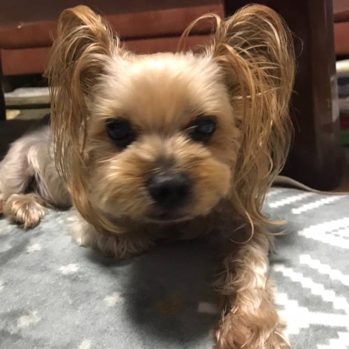 0e94a555 a37a 403e b4ee a84d0e4fca24 1601980609801