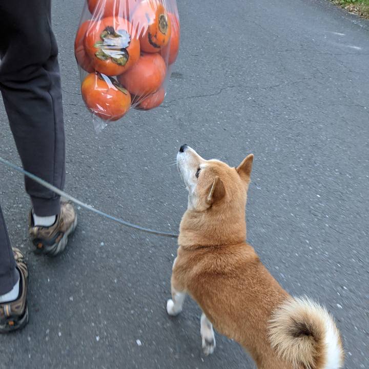 0e94bed0 5746 4f4d a891 c21cae05801d 1604667467893