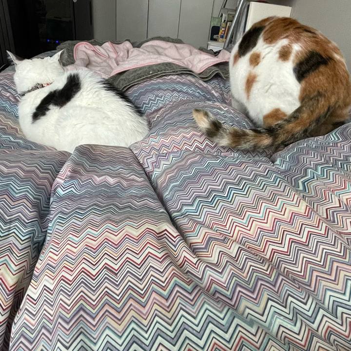 0e94ca19 3b6e 4bb3 b904 3ddb8e51fae2 1731295866323