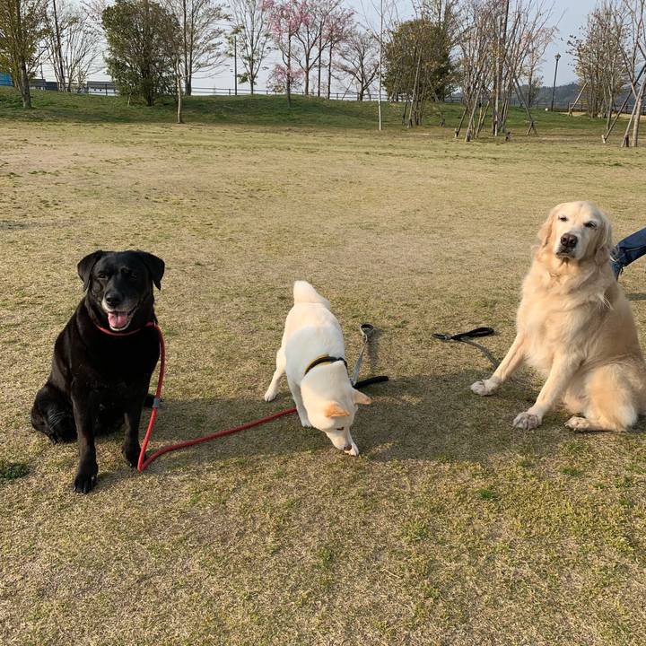 0e94e619 88d7 40fd 8cd2 e7b196295031 1554634928026