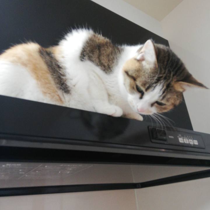 0e94fe67 9656 44c3 8927 7131885aa8bd 1618386927768