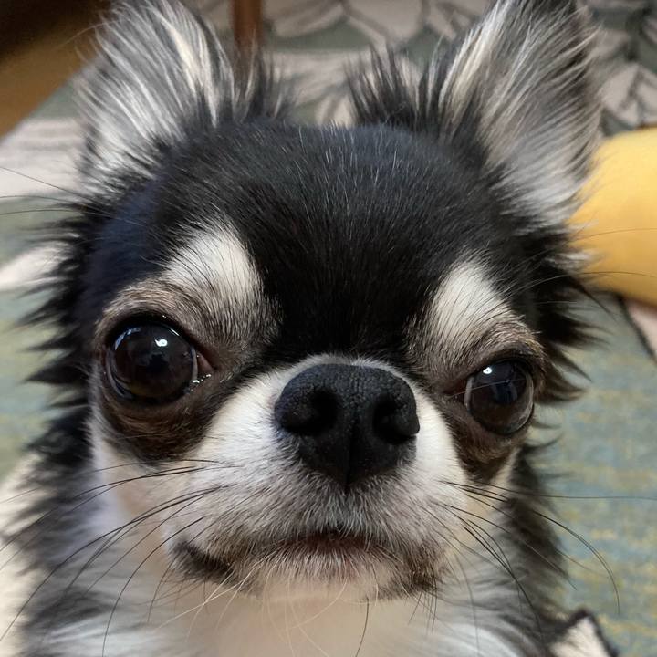 0e950a1e a945 477a b7ef 030dbb13ed13 1622329452790