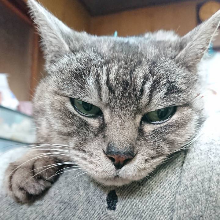 0e950ffb 9b43 478d be01 076457f552d8 1577678299768