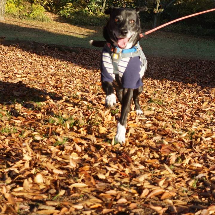 0e951863 88f5 49af a23c c95a7d755067 1764290318690