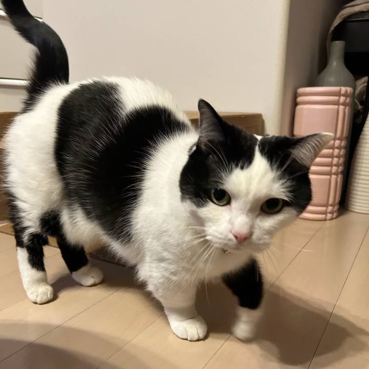 0e95290e 042e 48eb 8005 0c930f542007 1772581939281