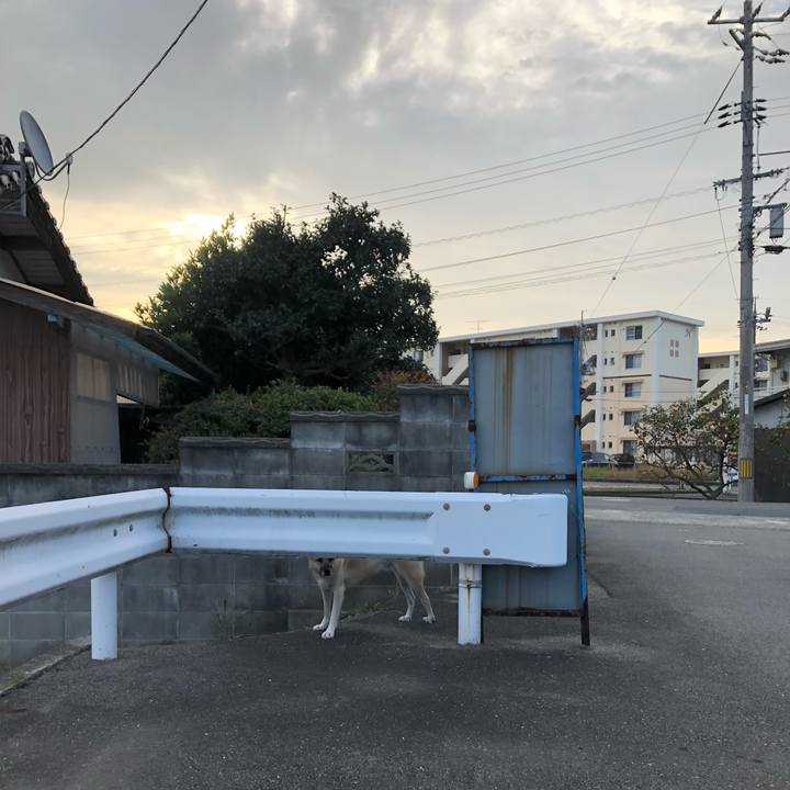 0e95490e 9c74 4af3 adce 55c820d841e9 1571834191563