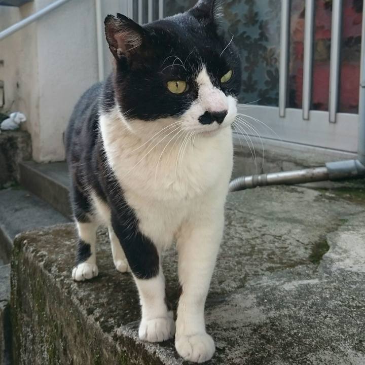 0e95a197 c061 4e45 b256 3f060926661d 1522106636944