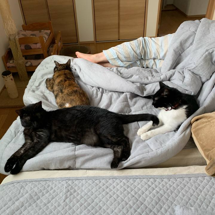 0e95c191 a77a 40e8 bf70 a5c062c37f87 1625997549101