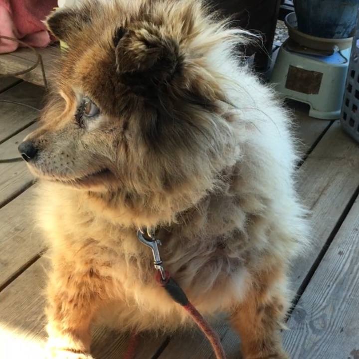 0e95cbe8 e8d1 407d 9748 54b937f0df60 1574945371265