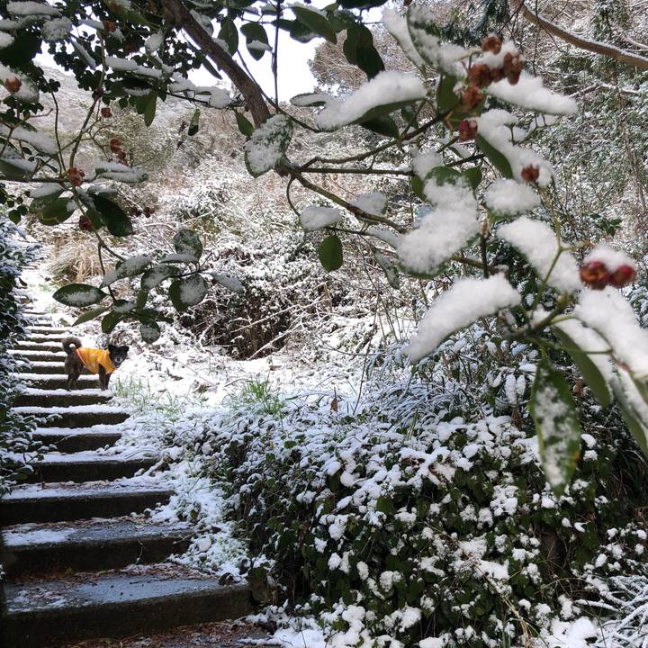 0e95ea84 6050 4d3f 8915 177c1b00a566 1613623683854