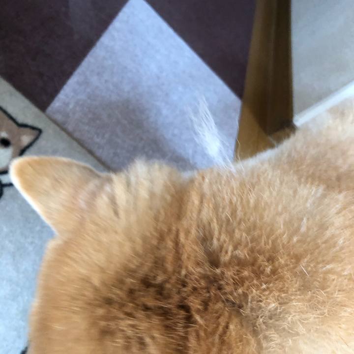 0e968221 5b45 43d1 b0fd 1e64127bbc97 1577001678287