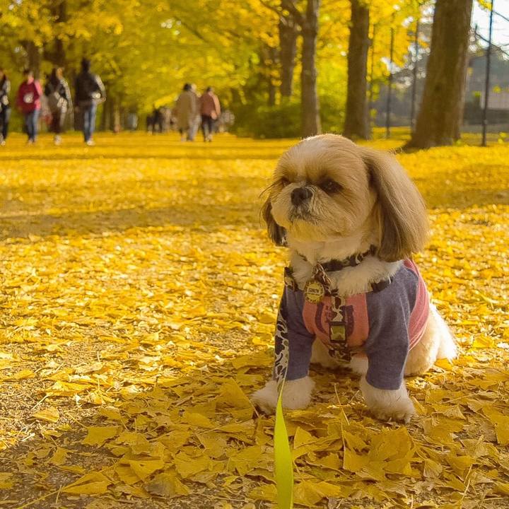 0e96b79c 83d7 4d6d b132 83665f17551e 1510331961472