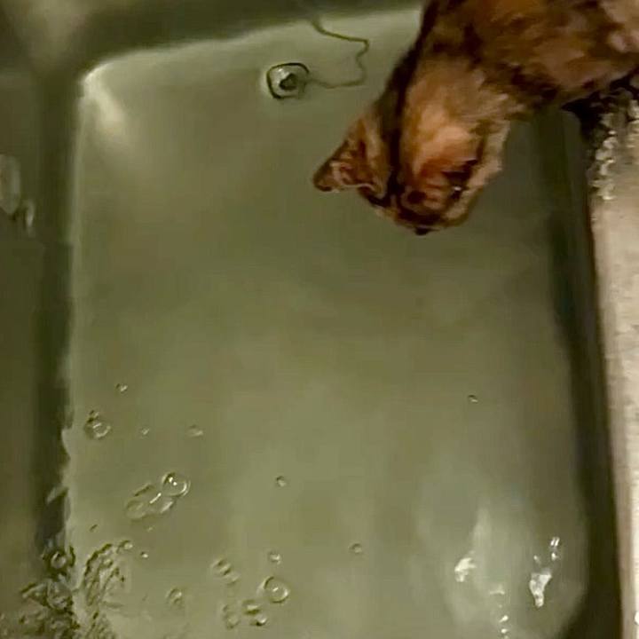 0e96d407 bfb8 4748 bee6 bb27056239c7 1749416297930