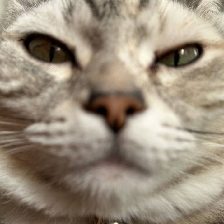 0e96fd3b ef33 4afa 84be 74d020d90a0a 1671576126905