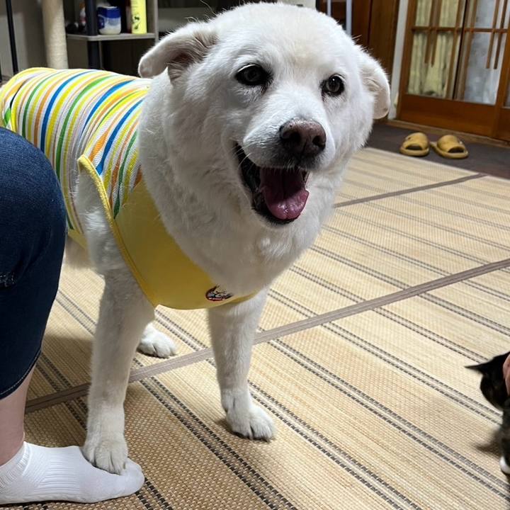 0e97299c 63b4 4c3f aead c0abb6f95920 1759707075356