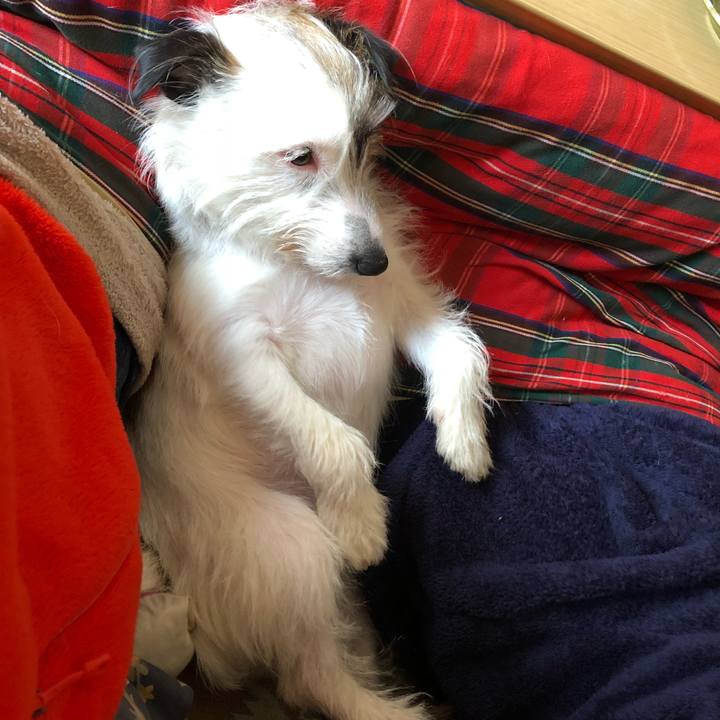 0e976de6 81cc 4085 89f0 2271c95cec9e 1522036979940