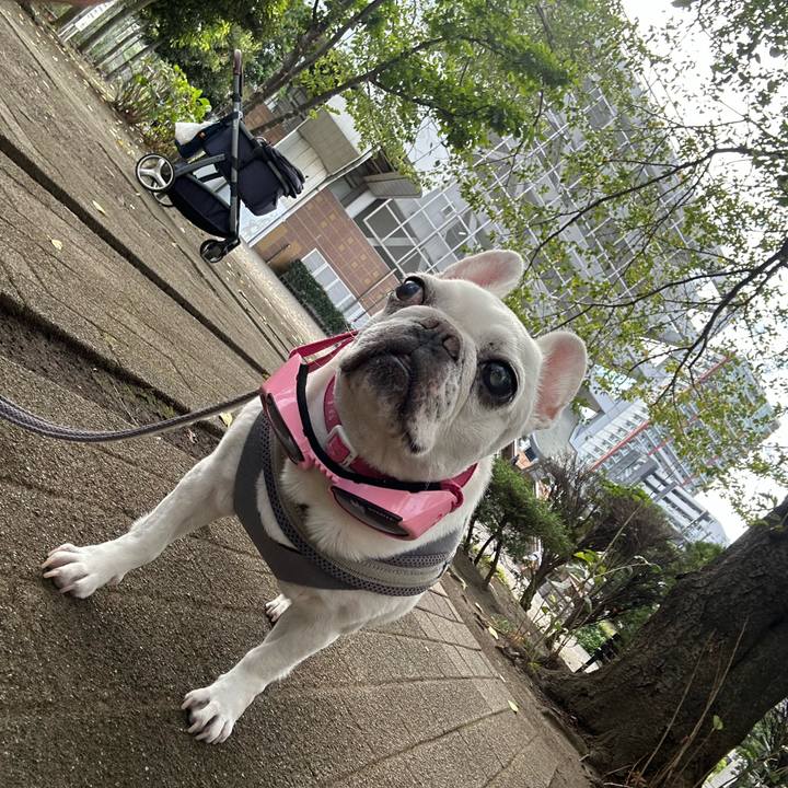 0e977326 84a1 4ebc a002 f4b2f9c5ccec 1758608772387