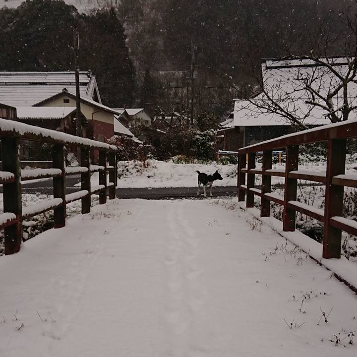 0e97844a 6921 4074 aac6 67ca56297ad6 1580946069556