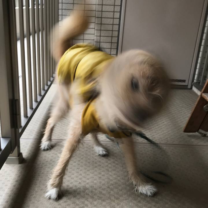 0e97905c 5dee 4cc4 b230 e96f4cd42d44 1538348573252