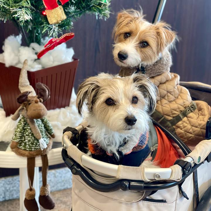 0e97a098 78c8 42f1 884b 5597d6320e56 1765508754388