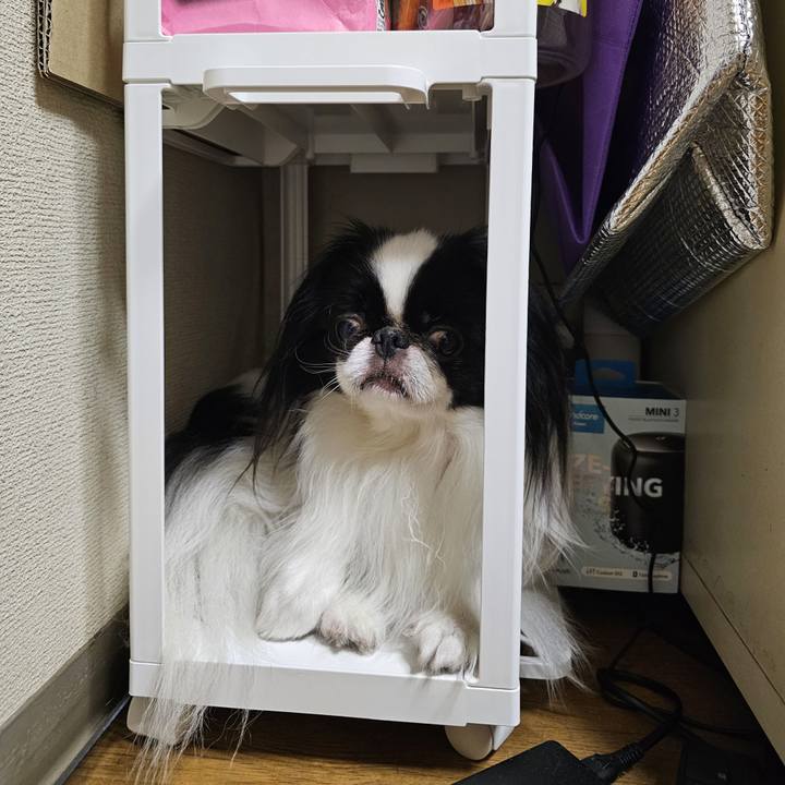 0e97b471 cfa5 40cf 80b3 c59dc011a95c 1724058479324