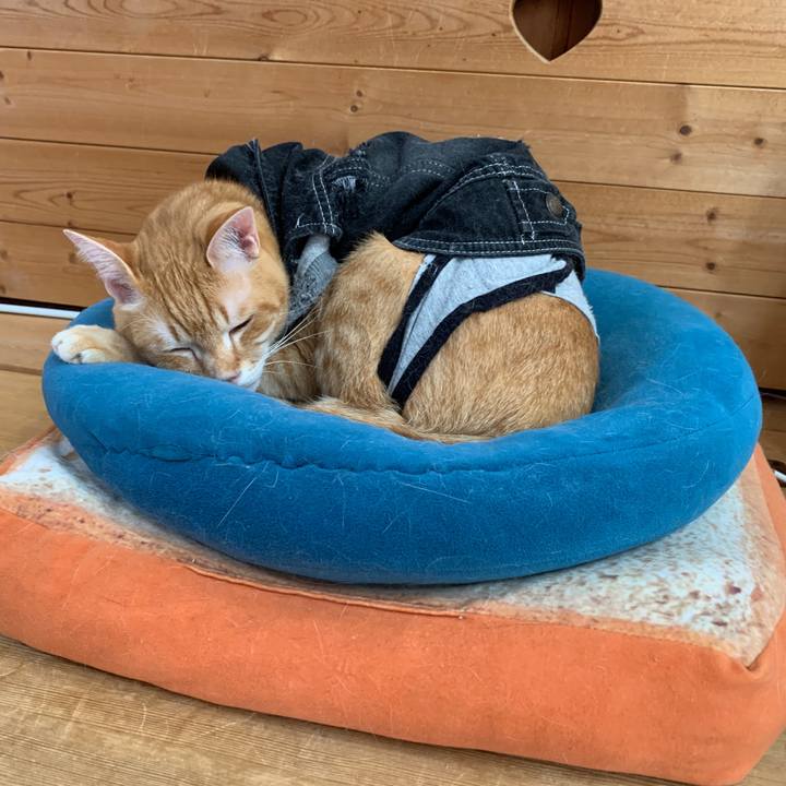 0e97ba9d 82a3 434a 8b5a 9a4d3588de20 1655072605566