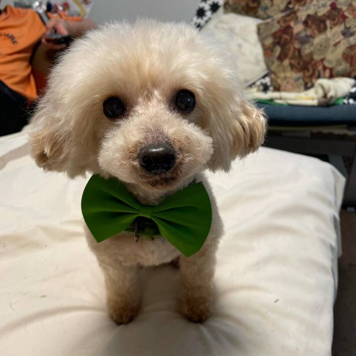 0e98028a 0925 4fcd 81e7 43d1be348430 1652522085165