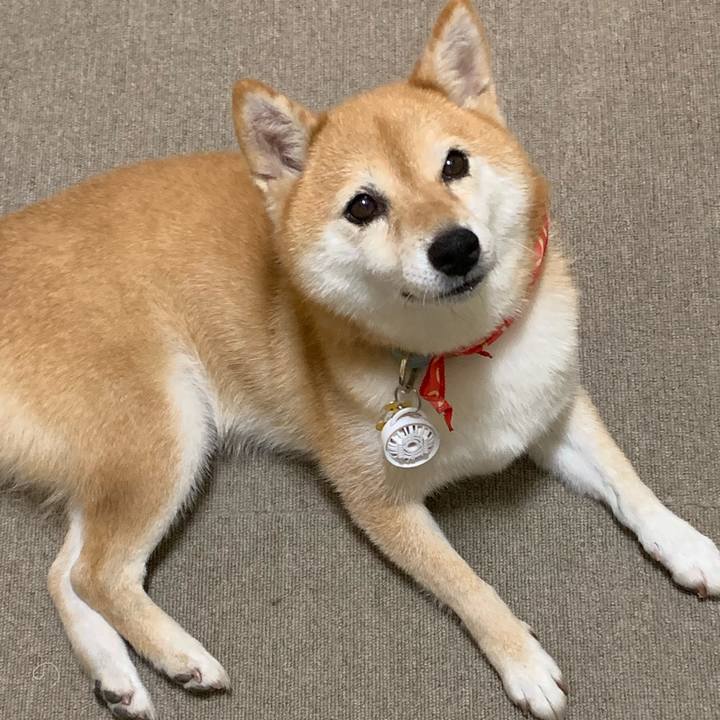 0e982a76 615a 41ff 872d 23081aa3b568 1565435070202