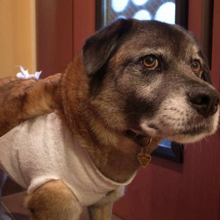 0e98460e d868 4852 9f6e 9431b5478c96 1585832527764