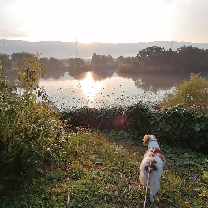 0e986552 7126 4564 a140 d8b07c938de4 1603940497312