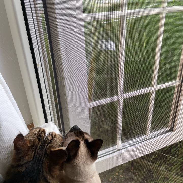 0e98767e e6e5 4ced a7fd 1fed3423e793 1724447116980