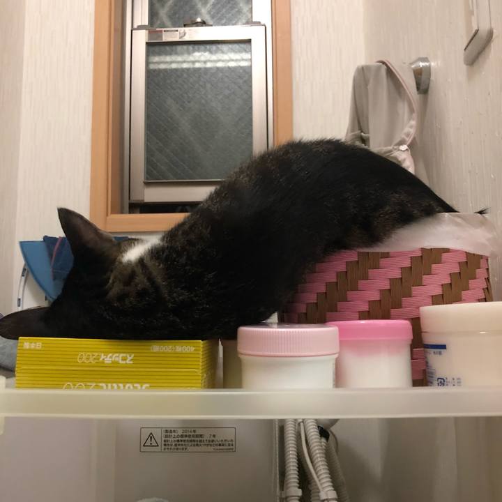 0e988135 aa96 48b5 96d6 1427e0d8eff8 1534453358462