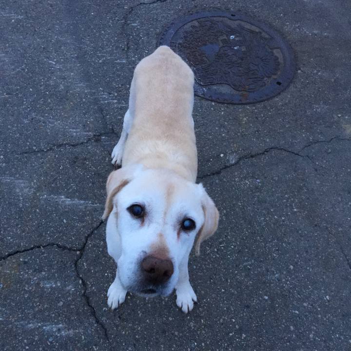 0e98ad4a 82a2 4e32 9515 0ffdcf723bb5 1519722465689