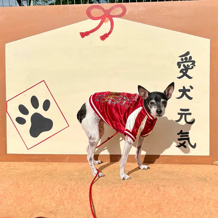 0e98b8f6 31c7 439d afe7 9564ef0f981e 1636868704426