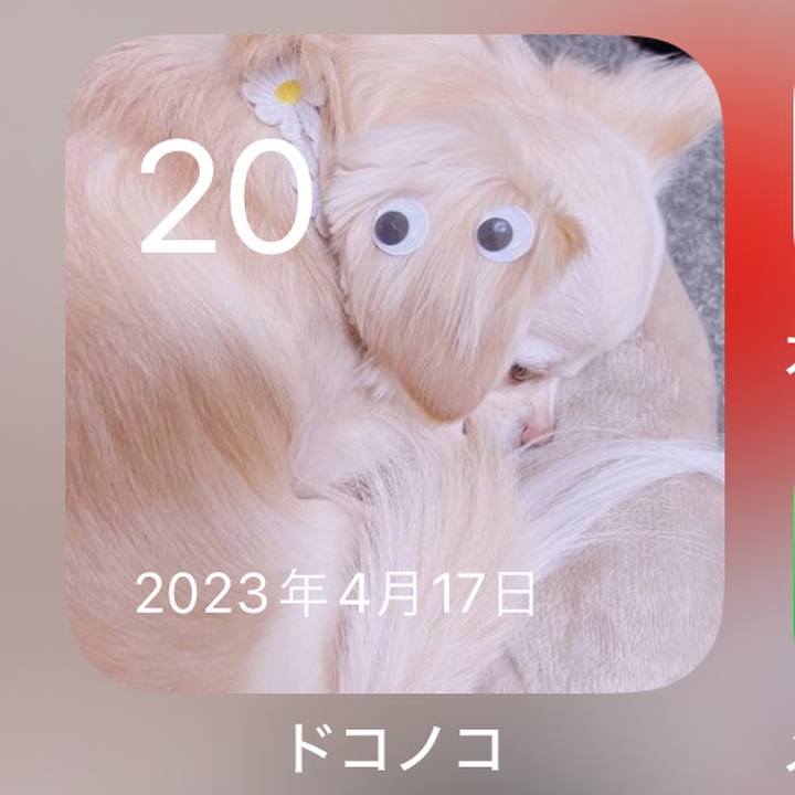 0e98c24c 3e8d 4d3c 993c 4e4162ad78df 1713591184448