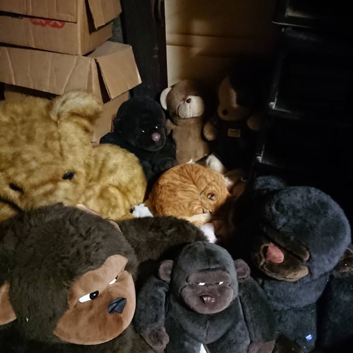 0e9929dc 3293 44a8 8022 8c58ed4921b8 1605092152231