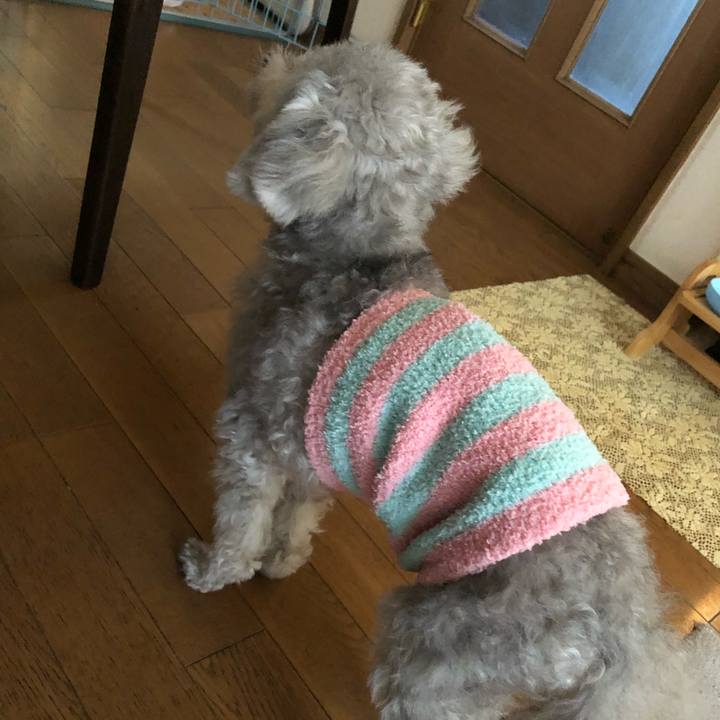 0e994d7d f6da 4734 b9f9 12d2ce48a623 1641945482906