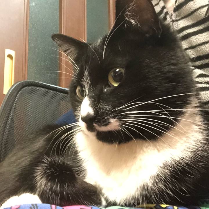 0e995b7c 1e92 4248 a4d9 371b568aa641 1544936166510