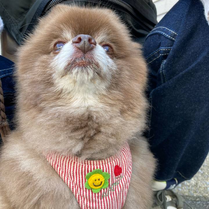 0e99b200 f88e 4690 9f36 418491deb00f 1653089903144