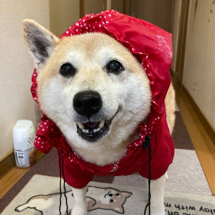 0e99c051 f7d8 4443 a228 e5ee64949fa5 1621255926127